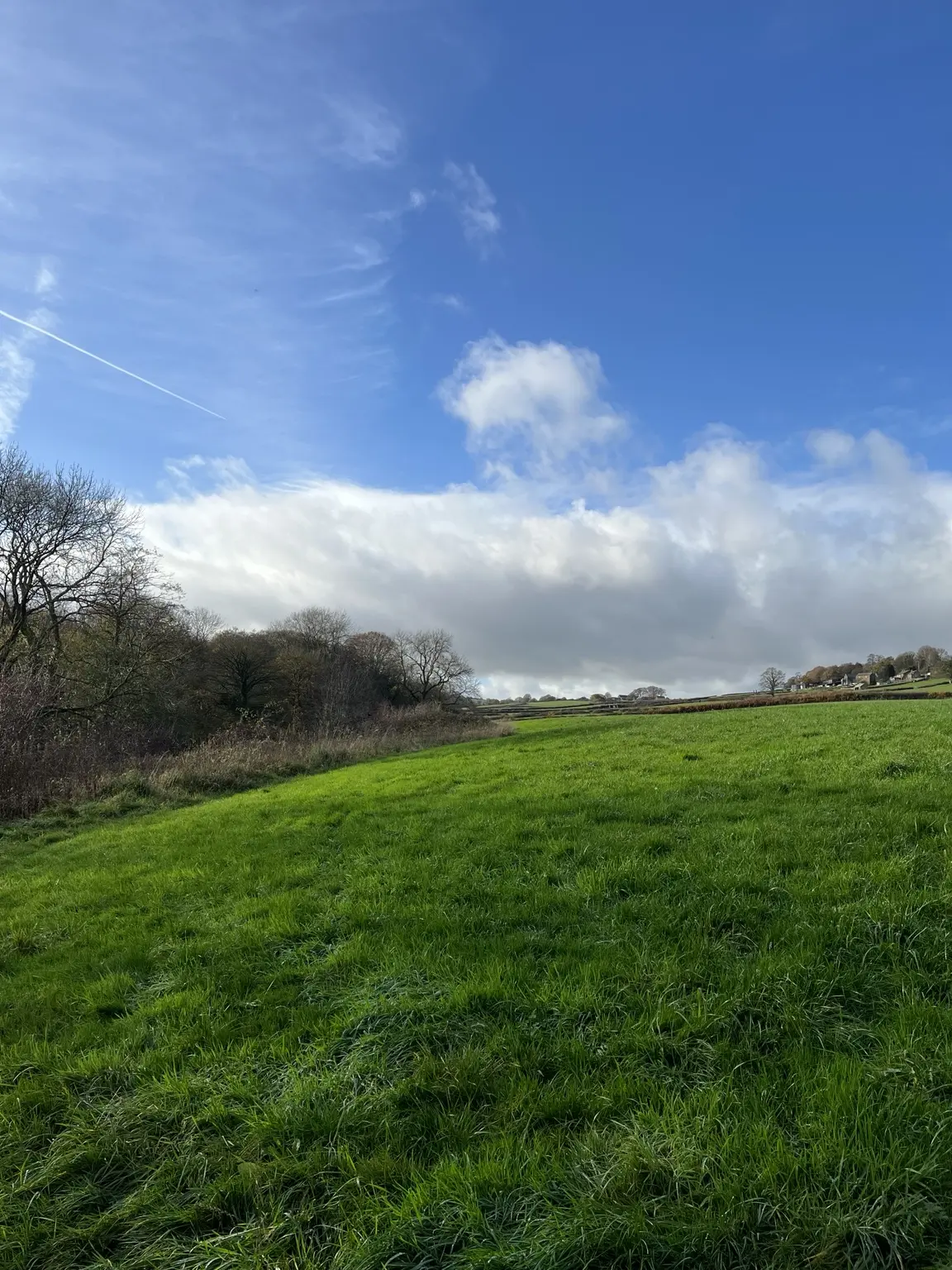 A bright blue opening in the autumn sky above a green field