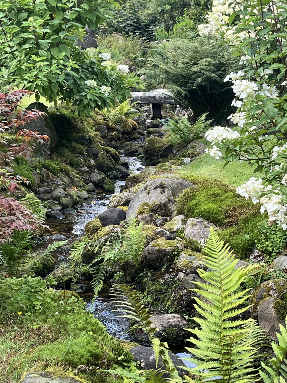 Water threading between mossy stone, fern and white flowers